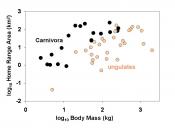 Home range areas of 49 species of mammals in relation to their body size. Larger-bodied species tend to have larger home ranges, but at any given body size members of the order Carnivora (carnivores and omnivores) tend to have larger horme ranges than ung