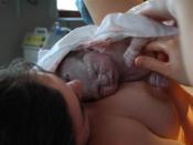 Postpartum baby
