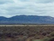 The Flinders Ranges as seen from the Stuart Highway