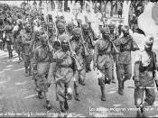 The 15th Sikhs being given a heroes' welcome upon their arrival in Marseille, France during the First World War.