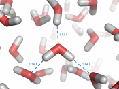 Hydrogen bonds in liquid water molecular dynamics simulation (Tip3P water model with CHARMM force field)