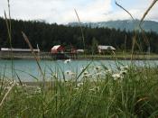 Cannery in Haines Alaska