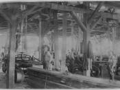Men standing in lumber yard. Ozark Lumber Co. Near Winona - NARA - 283584