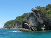 English: Rock formations near the boat landing area on the west side of Apo Island, Philippines.