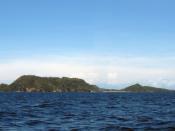 English: View of Apo Island from the west.