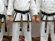English: Rhee Tae Kwon-Do 1st, 2nd, and 3rd Dan black belts in October 2007.