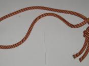 Piece of climbing Rope. Manufacturer: Lanex (www.lanex.cz). . Diameter: 8 mm.