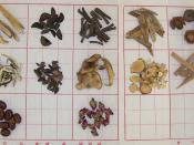 Pictures of herb samples from categories of Chinese Herbs Herbs that Regulate the Qi