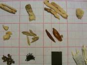 Pictures of herb samples from categories of Chinese Herbs Tonifying Herbs: Herbs that Tonify the Qi