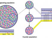 English: Representation of the founder effect: the colored balls represent the two alleles for a specific locus which are present in a hypothetical population; once a random subgroup of a population becomes separated from its ancestral population, the all