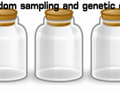 English: Simulation of a common example used describing the effect random sampling has in genetic drift. In this population of 20, there is a shift from an allele frequency of 50% for the blue allele to 100% for the blue allele in just 5 generations.