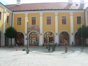 Summer school of film (Letni filmova skola) in Uherske Hradiste, Czech Republic, Reduta cinema