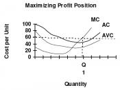 English: profit maximizing firm