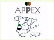 appex - logo