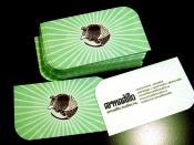 Armadillo Business Cards 2010