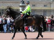 Mounted officer of the Metropolitan Police at Buckingham Palace, London