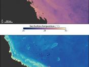 Recent climate change reports have highlighted the threat of higher water temperatures to the Great Barrier Reef
