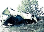 Tongan Car Wreck