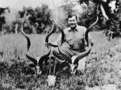 American author Ernest Hemingway poses with kudu and oryx skulls while on safari in Africa, 1934.