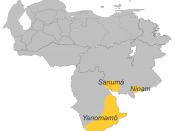 Yanomami Languages in Venezuela
