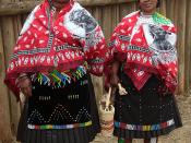 south africa - zulu reed dance ceremony