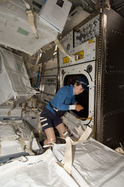 English: Japan Aerospace Exploration Agency (JAXA) astronaut Naoko Yamazaki, STS-131 mission specialist, works with the Window Observational Research Facility (WORF) in the Destiny laboratory of the International Space Station while space shuttle Discover