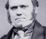 Charles Darwin, whose theory was at the centre of the debate.