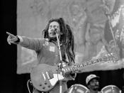 Marley performing at Dalymount Park