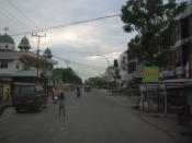 Bahasa Indonesia: Salah satu jalan di Kota Pekanbaru