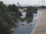Los Angeles River, looking east, downstream, from the Victory Boulevard bridge. The bridge is the Interstate 5, and the office buildings are in downtown Glendale. This is the only part of the river which does not have a concrete bottom. Released by the ph