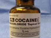 English: Cocaine hydrochloride for medicinal use. This is a CII controlled substance in the United States.