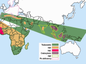 English: Description Malaria versus sickle-cell trait distributions