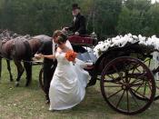 English: Bride in a white dress descends from an open horse-drawn carriage decorated with ribbons at a wedding in Minnesota.