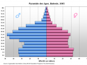 Bahrain Population pyramid, 2005
