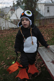 Penguin costumes.