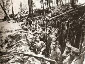 English: Russian trenches in the forests of Sarikamish Türkçe: Sarıkamış ormanlarında Rus askerlerinin kazmış olduğu hendekler.