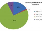 Electricity Generation in Idaho (by Fuel)