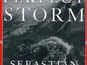 The Perfect Storm (book)