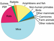 English: The types of vertebrate animals used in lab research in Europe in 2005 Category:Animal testing