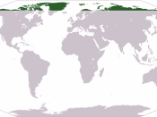 Location of the Arctic