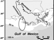 English: Atchafalaya River, Louisiana Modified from USGS location map at http://gulfsci.usgs.gov/missriv/reports/ofrshelf/objectives.html PD-USGov