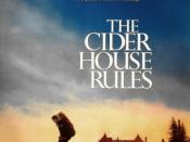 The Cider House Rules (film)