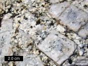 English: Potassium feldspar crystals in a granite, eastern Sierra Nevada, Rock Creek Canyon, California.
