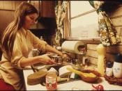 Housewife in the Kitchen of Her Mobile Home in One of the Trailer Parks...