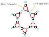 English: hydrogen bonding