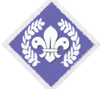 Chief Scout Diamond Award (Explorer Scouts or Scout Network)