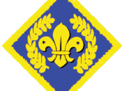 Chief Scout Platinum Award (Explorer Scouts or Scout Network)