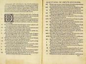 Disputatio pro declaratione virtutis indulgentiarum, 95 theses