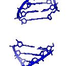 Single-strand and double-strand DNA damage