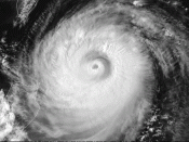 A satellite photo of Typhoon Amber, exhibiting an outer and inner eyewall.
